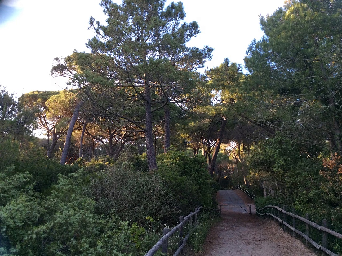 Villa Rocca 